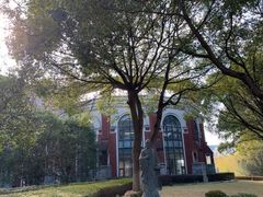 -华东政法大学(松江校区)