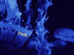 -波塞冬旅游度假区