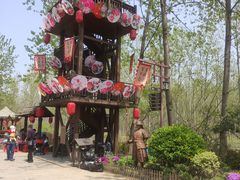 -合肥滨湖国家森林公园