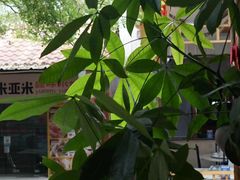 -三亚火车头万人海鲜广场