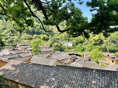-杨家堂村