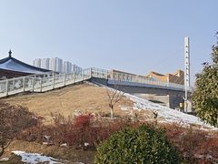 -隋唐大运河文化博物馆