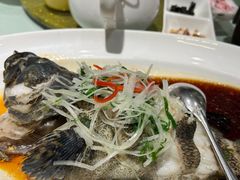 清蒸石斑鱼-老洋房花园饭店(绍兴路店)