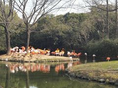 -上海野生动物园