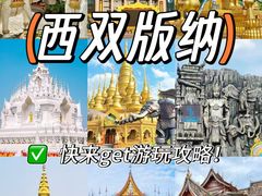 -西双版纳原始森林公园