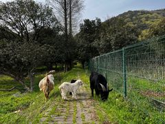 -宝岩生态观光园