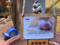-奇幻萌宠部落(映月湖环宇城店)