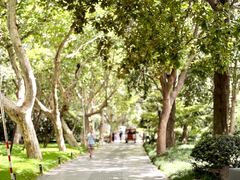 -知味观(湖滨店)