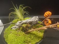 -炊江南·上海菜(国展华漕店)