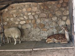 -丽泽山庄·生态怀柔菜·虹鳟鱼(红螺寺店)