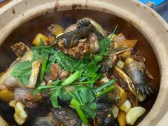 -金龙·打边炉(武进路店)