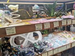 -龟与熊猫宠物公园(南坪店)