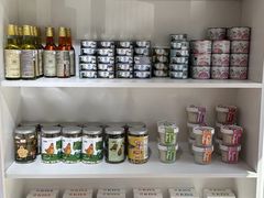 -青奢宠物·青奢猫舍