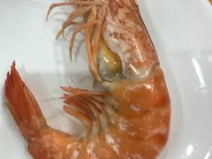 -蚝专家(北滘店)