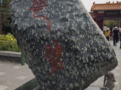 -神州牡丹园