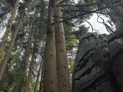 -梭布垭石林景区