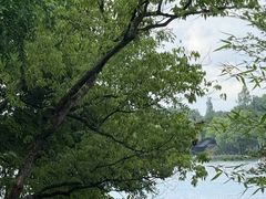 -浙江西子宾馆·瑶园咖啡厅