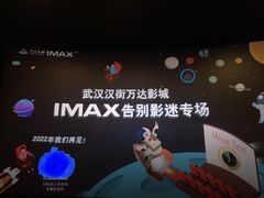 -万达影城(汉街万达广场IMAX店)