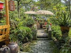 -青城甲(青城山店)