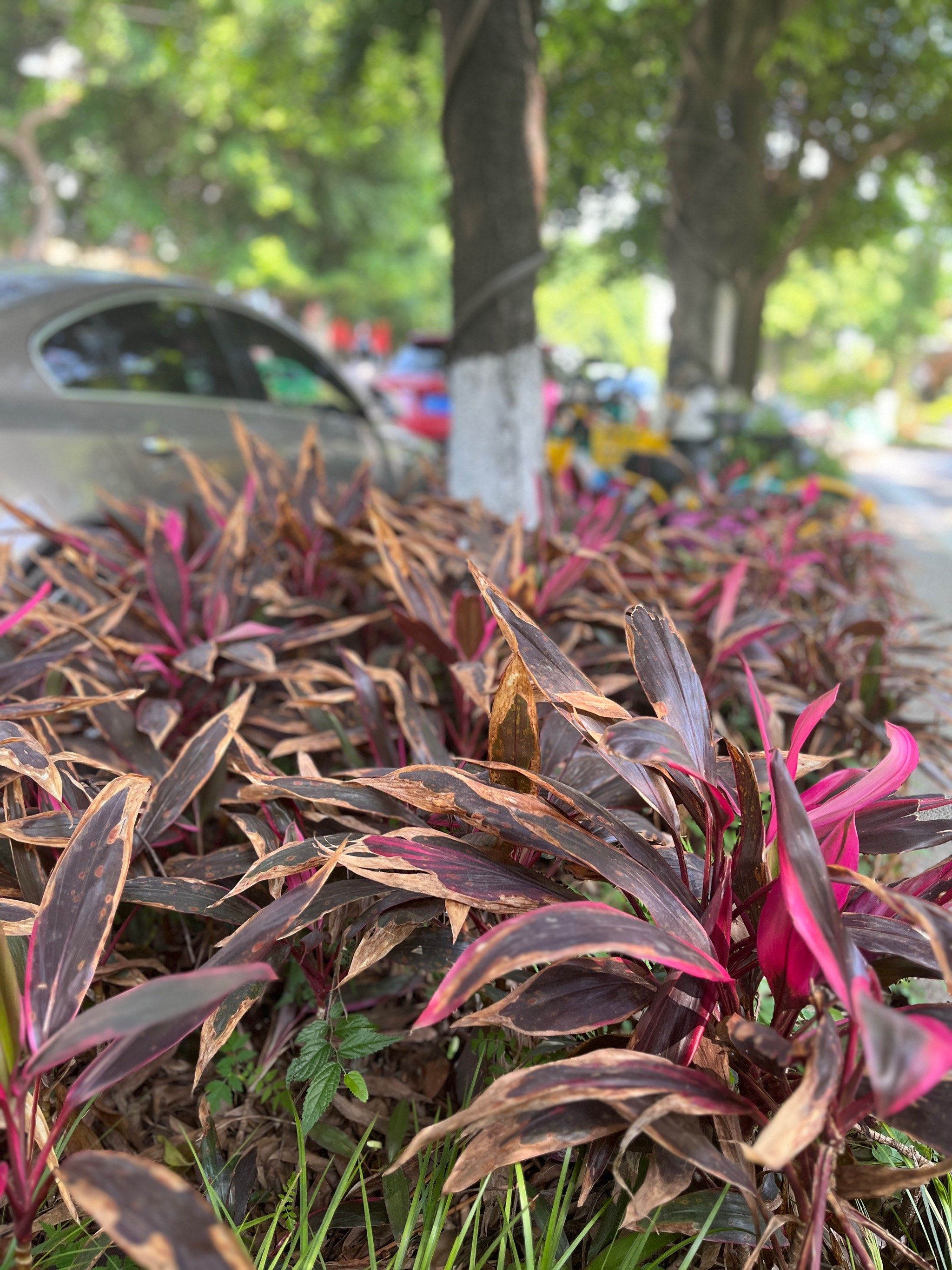 成都市成华区天气在线