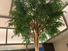 -榕意·川味之美(深业上城店)