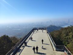 -紫金山山顶公园