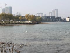 -江阴敔山湖公园