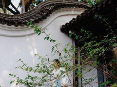 -深圳国际园林花卉博览园