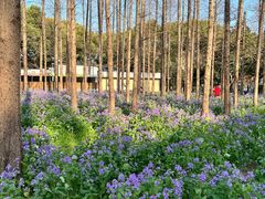 -上海交通大学(闵行校区)