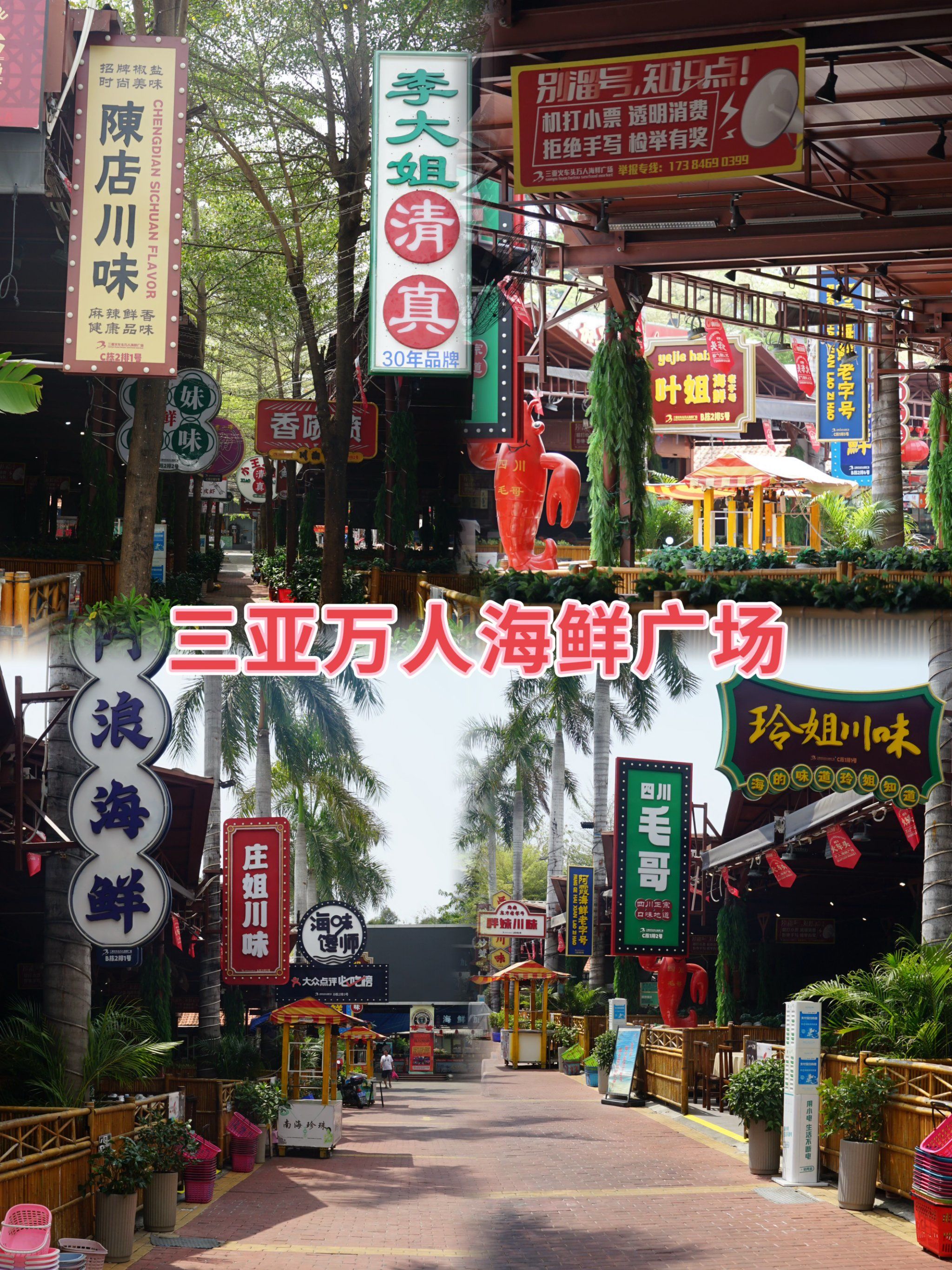 听劝6015这才是三亚本地人都会去的海鲜市场!