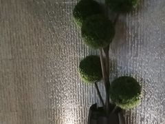 -大逸传奇·足道SPA(天美店)