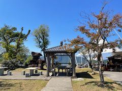 -江南天池