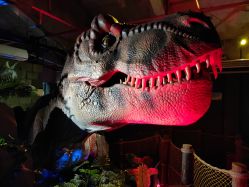 -恐龙探索乐园(磁器口店)