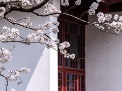 -堤角公园