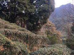 -灵光寺