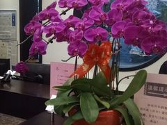 -苏州独墅湖书香世家酒店