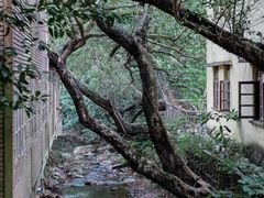 -鼎湖山风景区