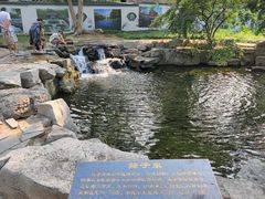 -百脉泉景区