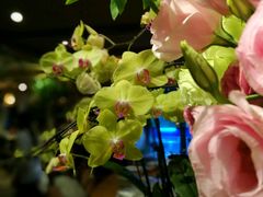 -春暖花开(西溪店)