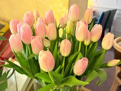 -SONGUOLIFE松果咖啡(七莘路店)