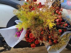 -郑州植物园