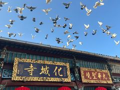 -九华山风景区
