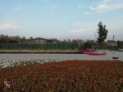-莫子山公园