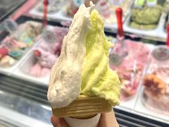 -柠檬车露(卖草地店)