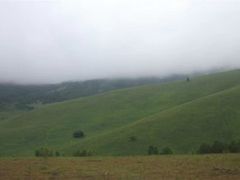 -塞罕坝国家级自然保护区