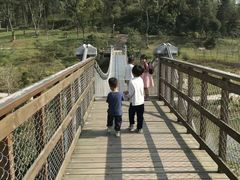 -大屏嶂森林公园