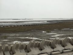 -南汇嘴观海公园