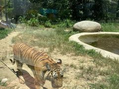 -泉州海丝野生动物世界