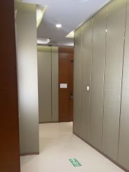 -蓝山医疗美容医院