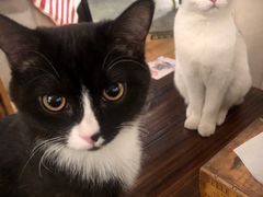 -么么咖啡(燕郊店)